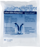 SOFORT-KAeLTE-Kompresse-Quick-15x20-cm